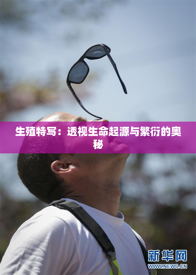 生殖特写：透视生命起源与繁衍的奥秘