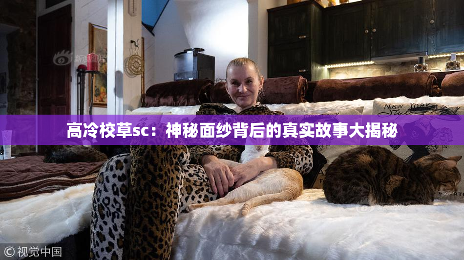 高冷校草sc：神秘面纱背后的真实故事大揭秘