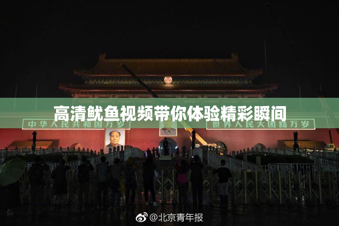 高清鱿鱼视频带你体验精彩瞬间