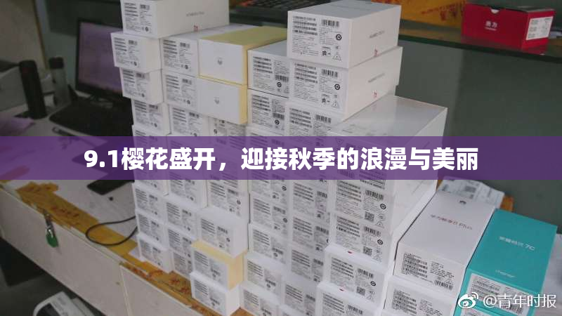 9.1樱花盛开，迎接秋季的浪漫与美丽