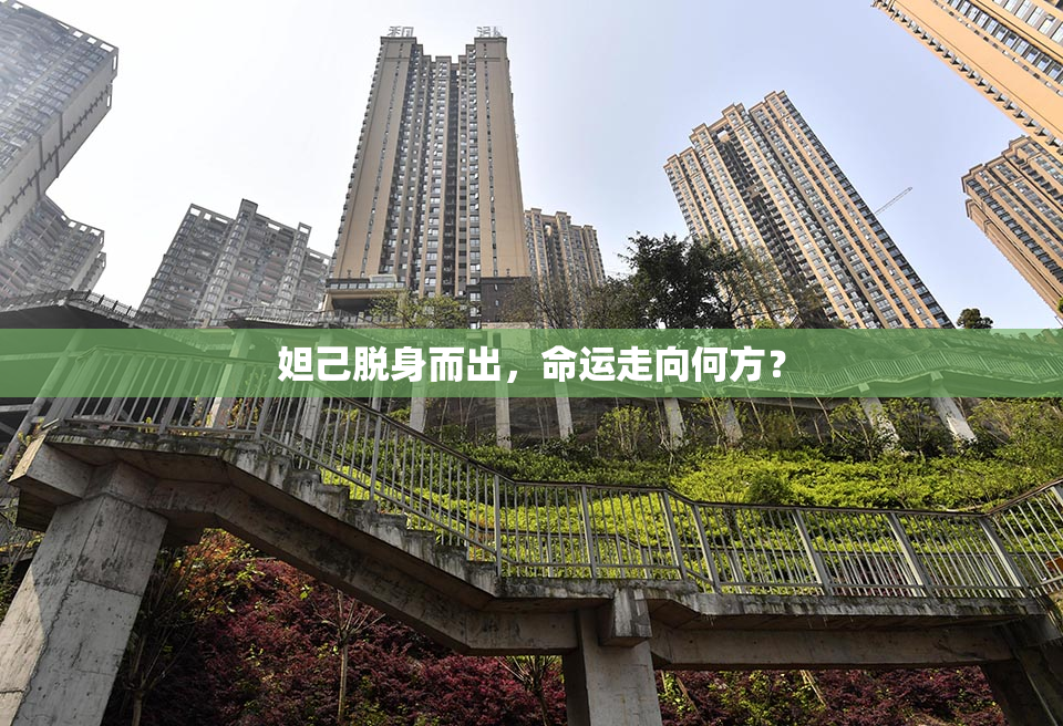 妲己脱身而出，命运走向何方？