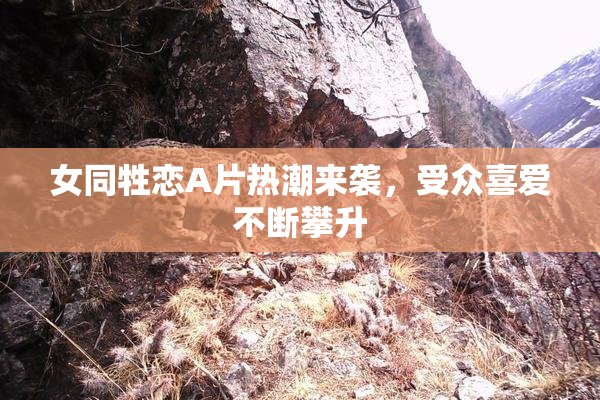 女同牲恋A片热潮来袭，受众喜爱不断攀升