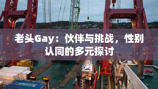 老头Gay：伙伴与挑战，性别认同的多元探讨