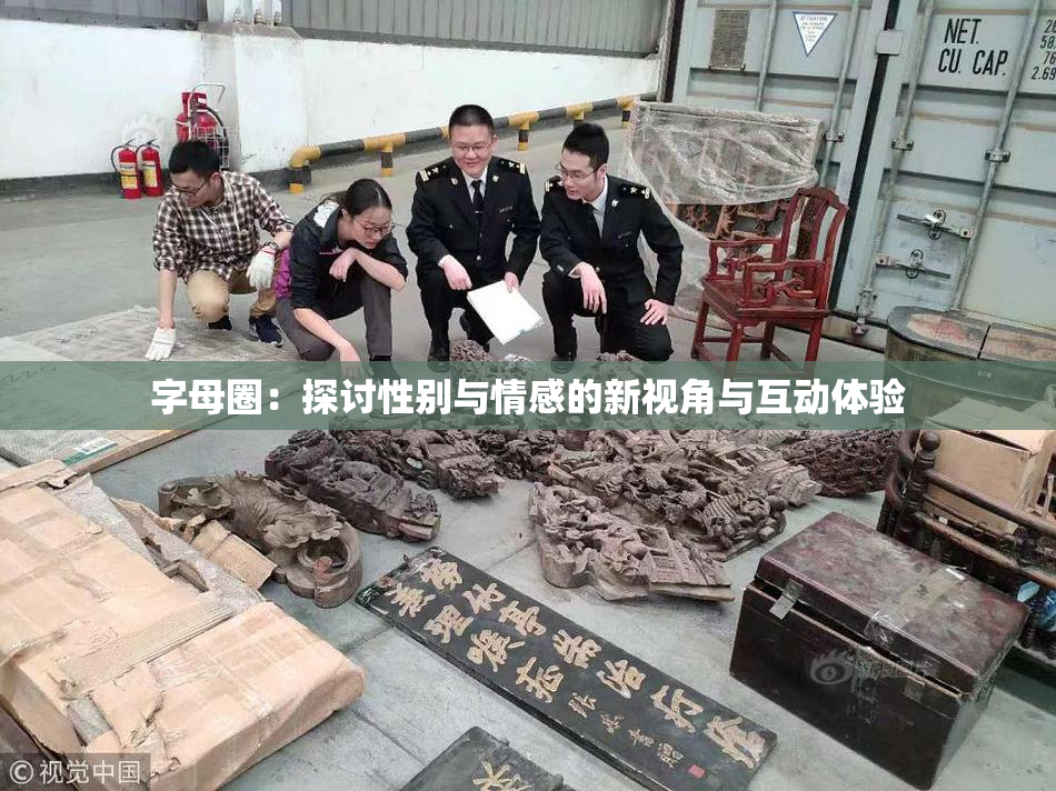 字母圈：探讨性别与情感的新视角与互动体验