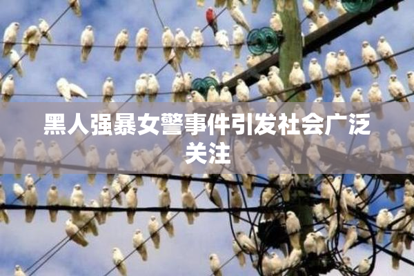 黑人强暴女警事件引发社会广泛关注