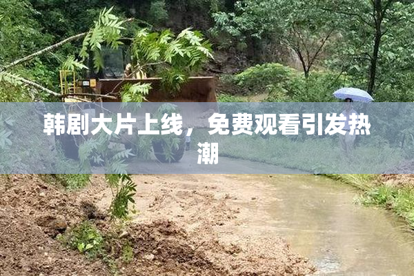 韩剧大片上线，免费观看引发热潮