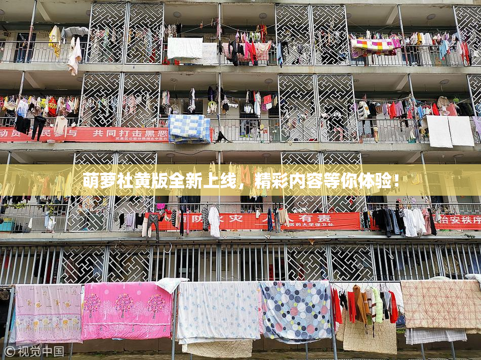 萌萝社黄版全新上线，精彩内容等你体验！