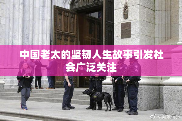 中国老太的坚韧人生故事引发社会广泛关注