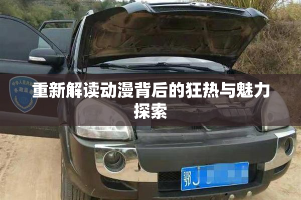 重新解读动漫背后的狂热与魅力探索