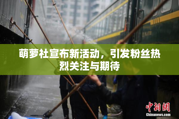 萌萝社宣布新活动，引发粉丝热烈关注与期待