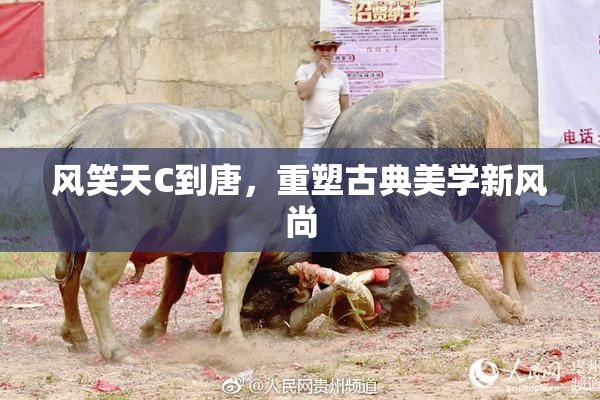 风笑天C到唐，重塑古典美学新风尚