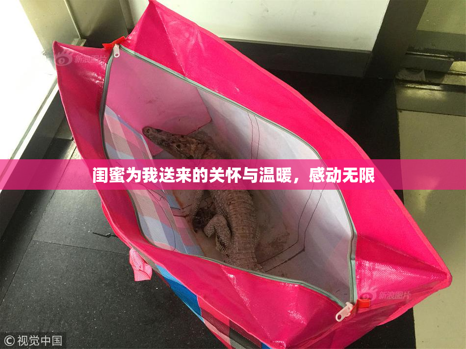 闺蜜为我送来的关怀与温暖，感动无限