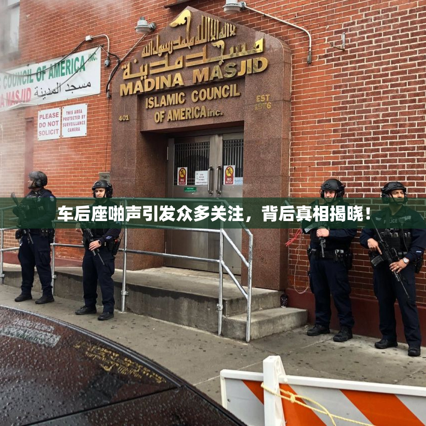 车后座啪声引发众多关注，背后真相揭晓！