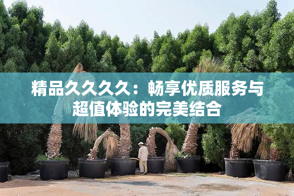 精品久久久久：畅享优质服务与超值体验的完美结合