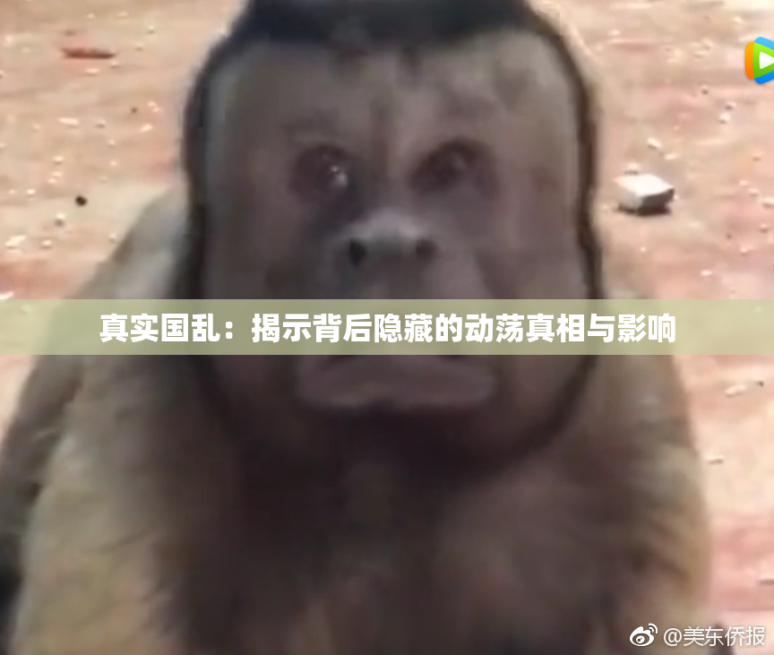 真实国乱：揭示背后隐藏的动荡真相与影响