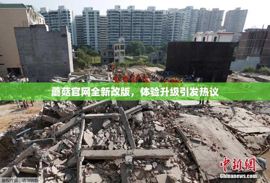 蘑菇官网全新改版，体验升级引发热议