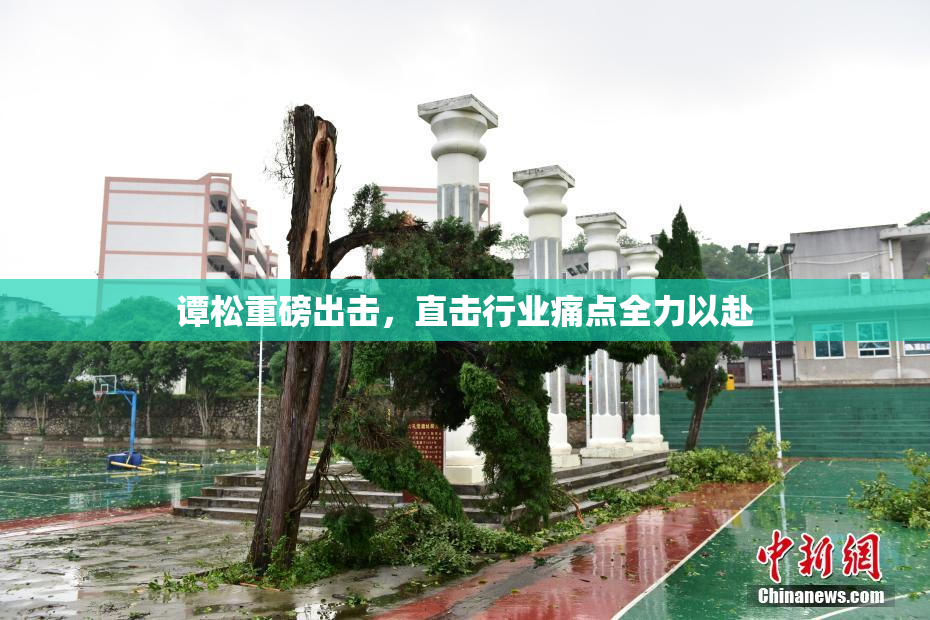 谭松重磅出击，直击行业痛点全力以赴