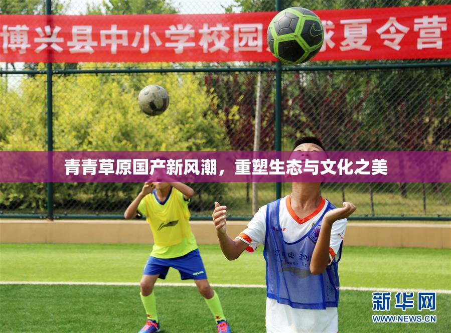 青青草原国产新风潮，重塑生态与文化之美