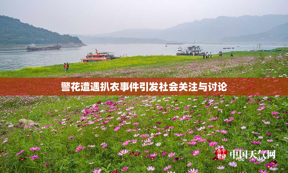 警花遭遇扒衣事件引发社会关注与讨论