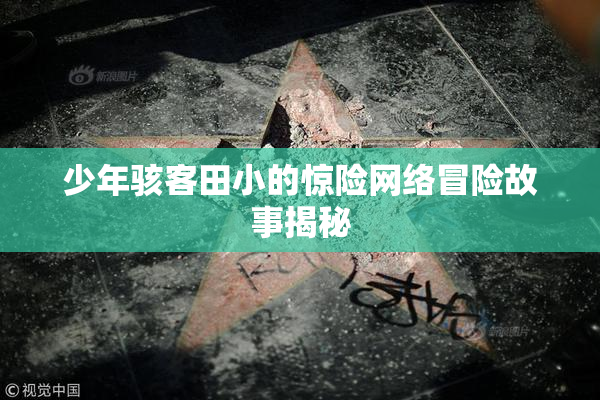 少年骇客田小的惊险网络冒险故事揭秘
