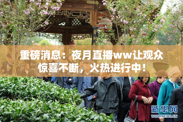 重磅消息：夜月直播ww让观众惊喜不断，火热进行中！