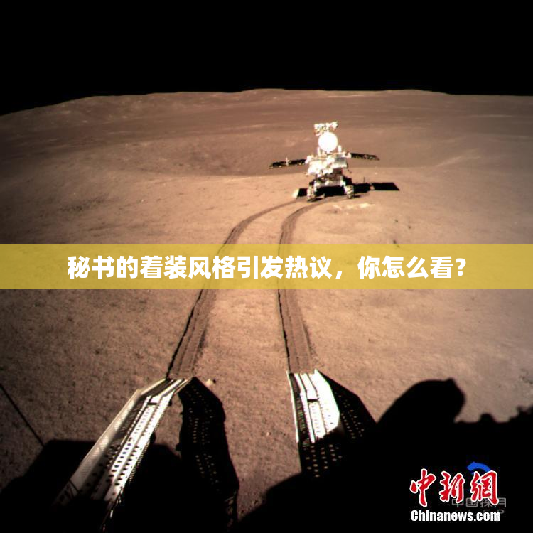 秘书的着装风格引发热议，你怎么看？