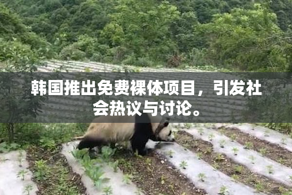 韩国推出免费裸体项目，引发社会热议与讨论。