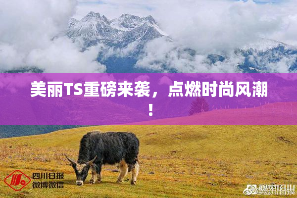 美丽TS重磅来袭，点燃时尚风潮！