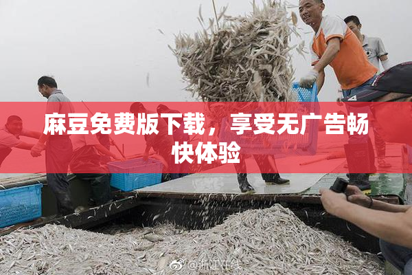 麻豆免费版下载，享受无广告畅快体验