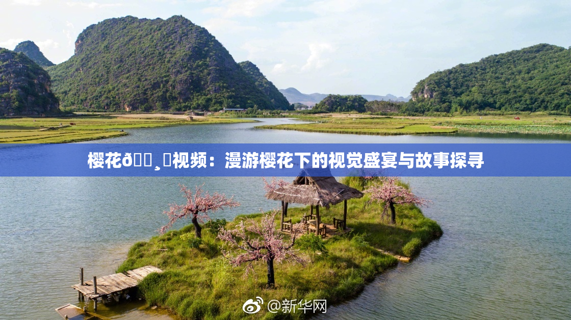 樱花🌸‌视频：漫游樱花下的视觉盛宴与故事探寻