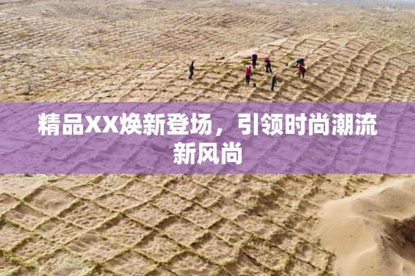 精品XX焕新登场，引领时尚潮流新风尚