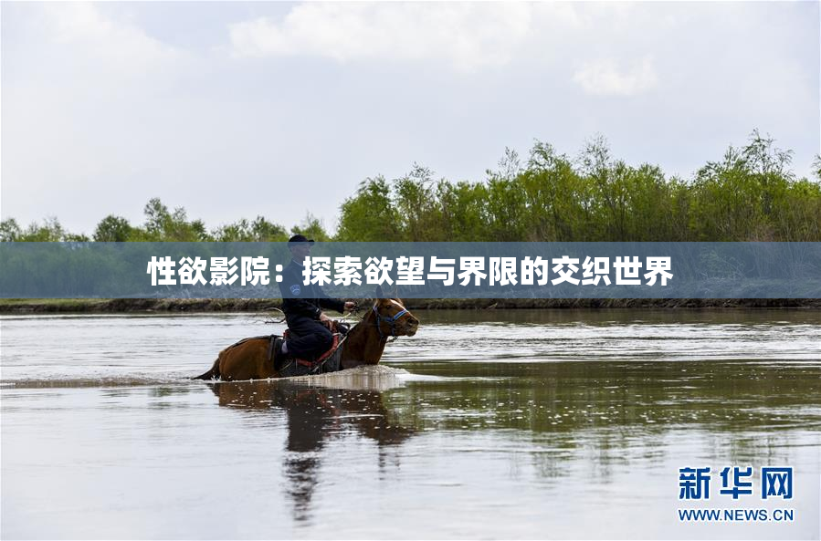 性欲影院：探索欲望与界限的交织世界