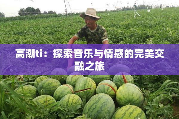高潮ti：探索音乐与情感的完美交融之旅