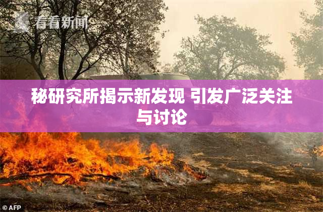 秘研究所揭示新发现 引发广泛关注与讨论