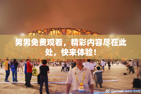 男男免费观看，精彩内容尽在此处，快来体验！