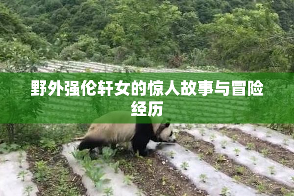 野外强伦轩女的惊人故事与冒险经历