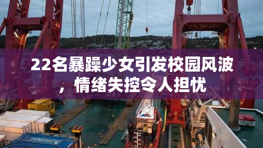 22名暴躁少女引发校园风波，情绪失控令人担忧