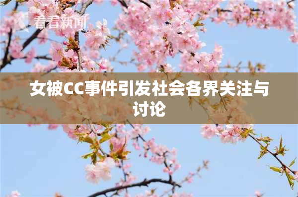 女被CC事件引发社会各界关注与讨论