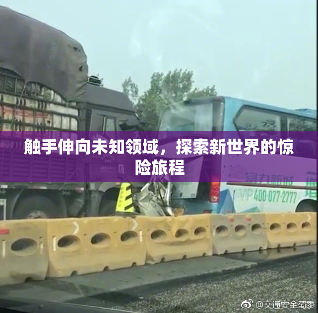 触手伸向未知领域，探索新世界的惊险旅程