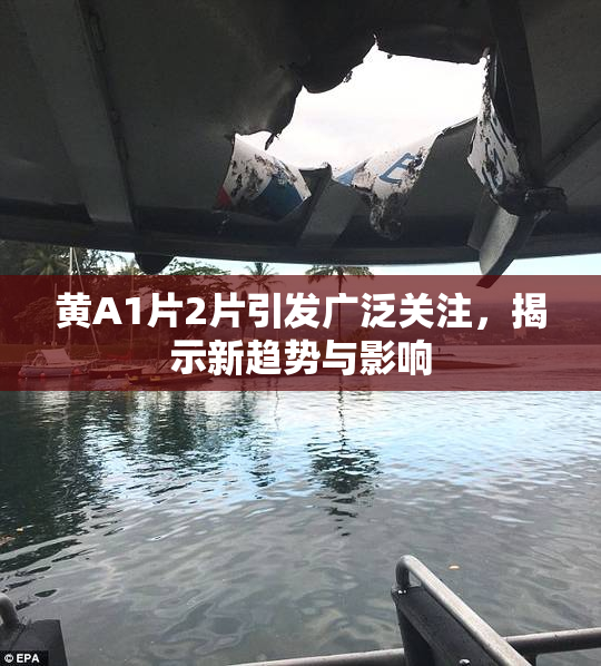 黄A1片2片引发广泛关注，揭示新趋势与影响