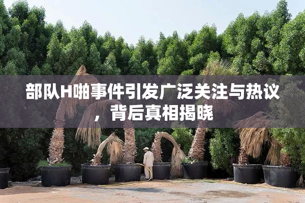 部队H啪事件引发广泛关注与热议，背后真相揭晓