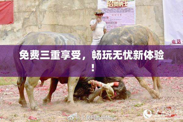 免费三重享受，畅玩无忧新体验！
