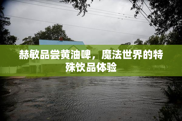 赫敏品尝黄油啤，魔法世界的特殊饮品体验