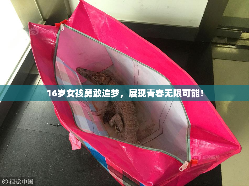 16岁女孩勇敢追梦，展现青春无限可能！