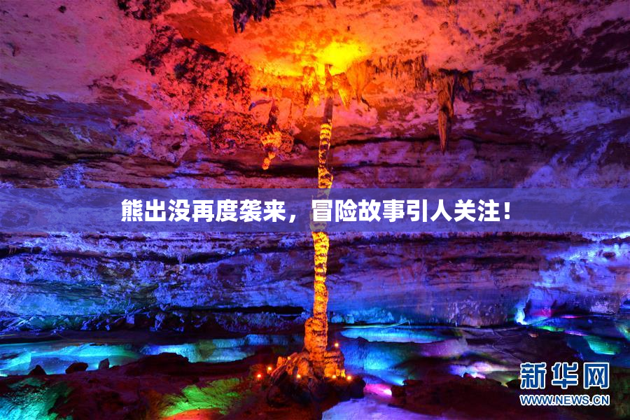 熊出没再度袭来，冒险故事引人关注！
