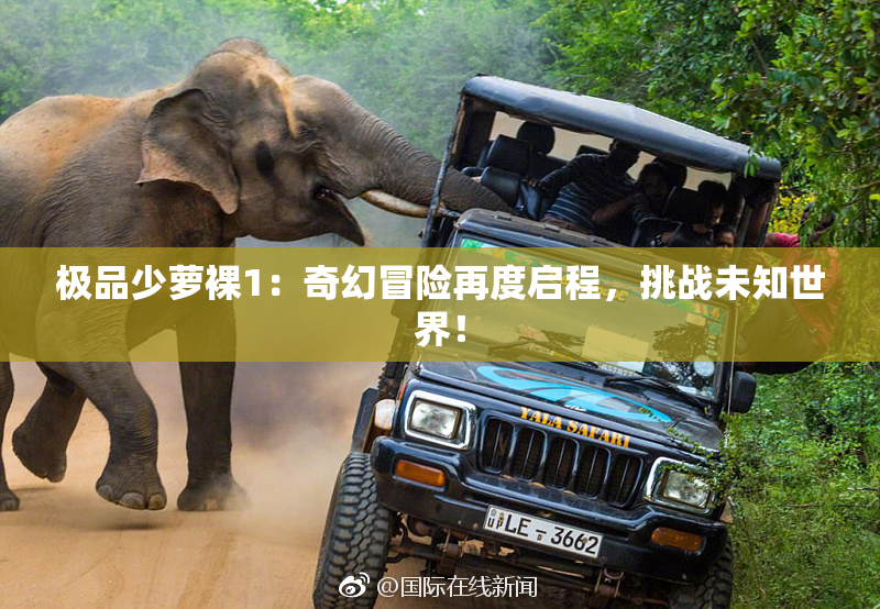 极品少萝裸1：奇幻冒险再度启程，挑战未知世界！