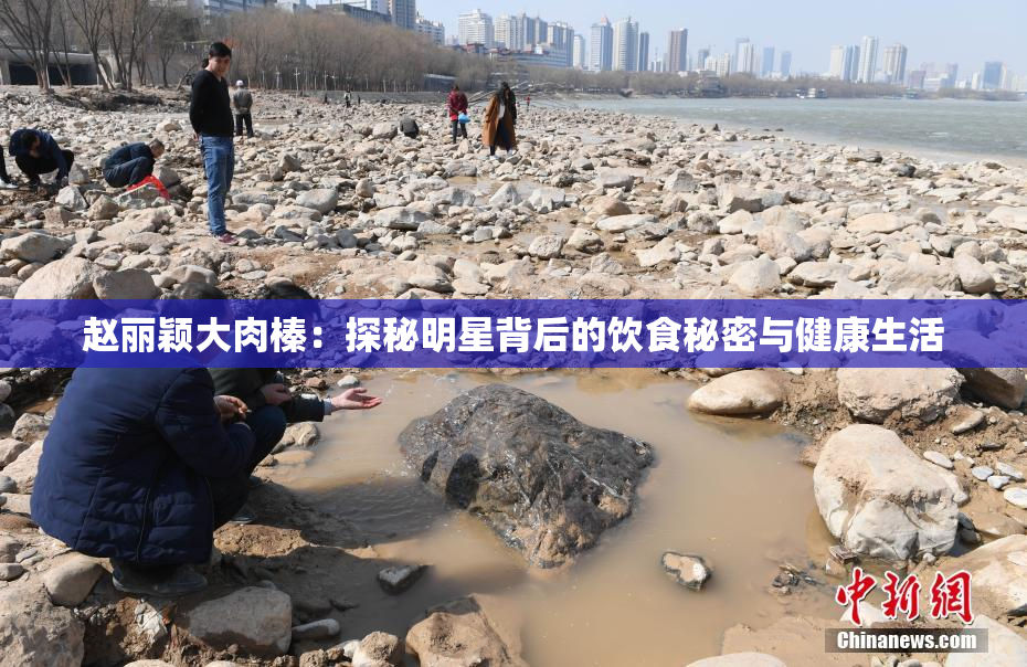 赵丽颖大肉榛：探秘明星背后的饮食秘密与健康生活