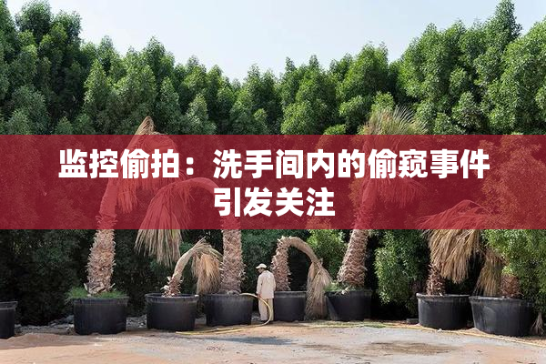 监控偷拍：洗手间内的偷窥事件引发关注