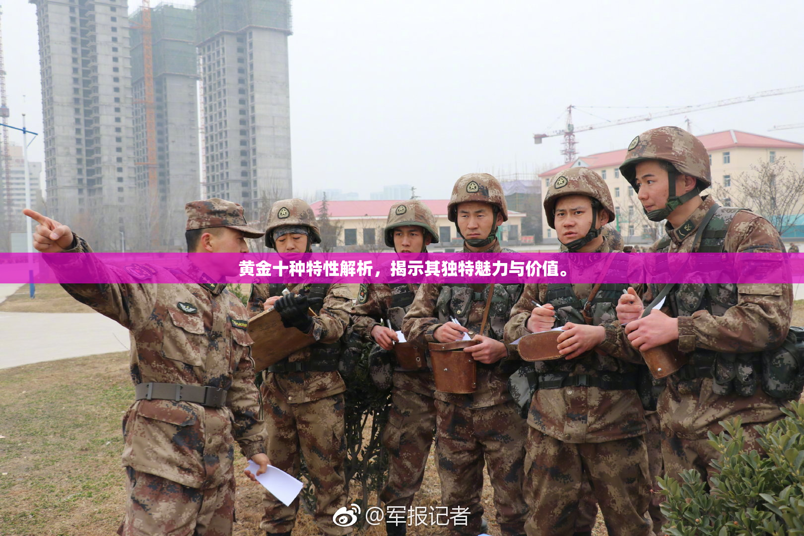 黄金十种特性解析，揭示其独特魅力与价值。