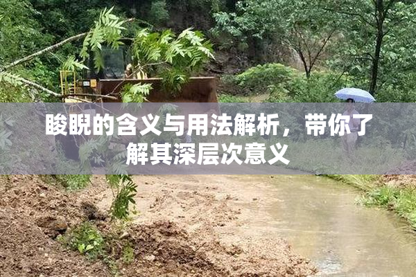 睃睨的含义与用法解析，带你了解其深层次意义